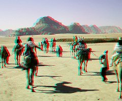 18-Wadi Rum-0490